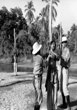 Лихорадка приходит в Эль-Пао (1959) через торрент скачать Лихорадка приходит в Эль-Пао (1959) фильм через торрент скачать