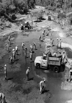 Лихорадка приходит в Эль-Пао (1959) в хорошем качестве через торрент Лихорадка приходит в Эль-Пао (1959) фильм в хорошем качестве через торрент