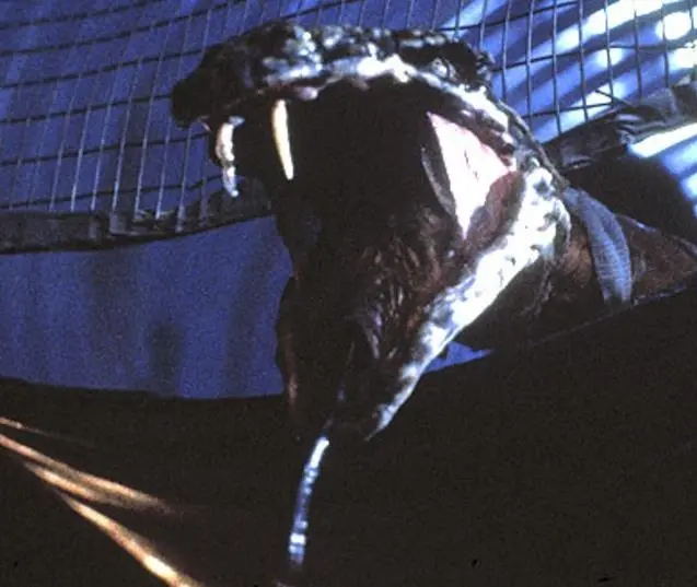 Проклятие 2: Укус (1989) через торрент скачать Проклятие 2: Укус (1989) фильм через торрент скачать