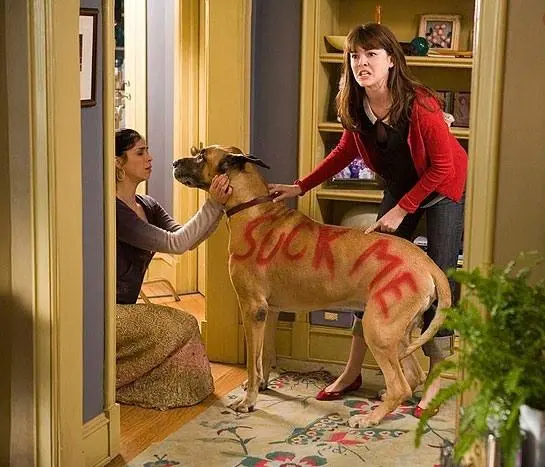 Школа негодяев (2006) через торрент бесплатно Школа негодяев (2006) фильм через торрент бесплатно