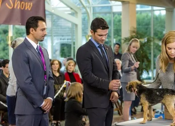 Гордость и предубеждение и собаки (2016) в хорошем качестве через торрент Гордость и предубеждение и собаки (2016) фильм в хорошем качестве через торрент