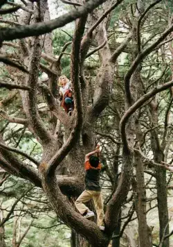 Мост в Терабитию (2006) в хорошем качестве через торрент Мост в Терабитию (2006) фильм в хорошем качестве через торрент