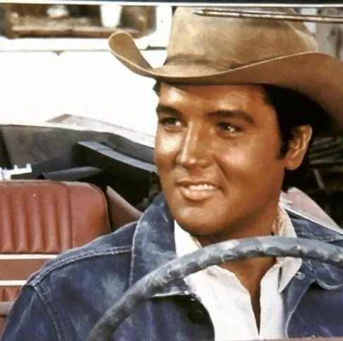 Держись подальше, Джо (1968) в хорошем качестве через торрент Держись подальше, Джо (1968) фильм в хорошем качестве через торрент