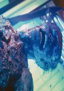 Городские легенды 3: Кровавая Мэри (2005) в хорошем качестве через торрент Городские легенды 3: Кровавая Мэри (2005) фильм в хорошем качестве через торрент