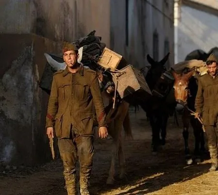 Мул (2013) через торрент бесплатно Мул (2013) фильм через торрент бесплатно