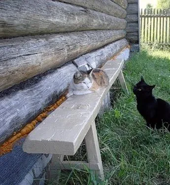 Полынь — трава окаянная (2010) через торрент скачать Полынь — трава окаянная (2010) фильм через торрент скачать