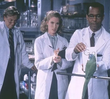 Поли (1998) в хорошем качестве через торрент Поли (1998) фильм в хорошем качестве через торрент