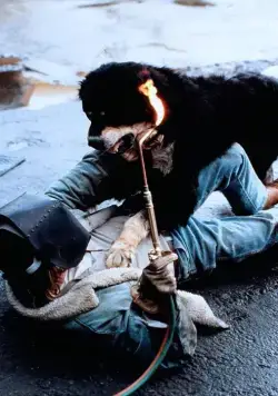 Лучший друг человека (1993) через торрент бесплатно Лучший друг человека (1993) фильм через торрент бесплатно