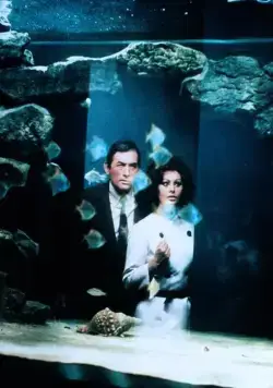 Арабеска (1966) через торрент скачать Арабеска (1966) фильм через торрент скачать