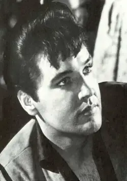 Двойные неприятности (1967) через торрент бесплатно Двойные неприятности (1967) фильм через торрент бесплатно