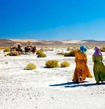 Обход Мика (2010) через торрент скачать Обход Мика (2010) фильм через торрент скачать