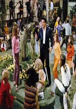 Выходные в Калифорнии (1966) через торрент скачать Выходные в Калифорнии (1966) фильм через торрент скачать