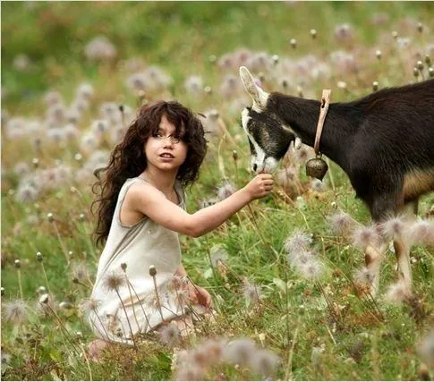 Хайди (2015) через торрент бесплатно Хайди (2015) фильм через торрент бесплатно