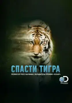 Спасти тигра / Taken by the Tiger (2019) фильм скачать через торрент в хорошем качестве