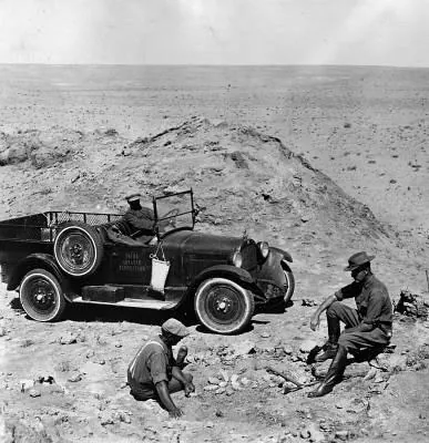 Динозавры живы! 3D (2007) через торрент скачать Динозавры живы! 3D (2007) фильм через торрент скачать