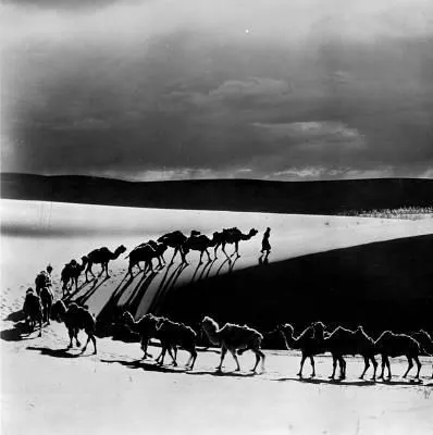 Динозавры живы! 3D (2007) в хорошем качестве через торрент Динозавры живы! 3D (2007) фильм в хорошем качестве через торрент