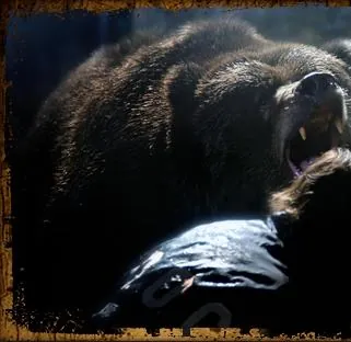 Гризли Парк (2007) через торрент скачать Гризли Парк (2007) фильм через торрент скачать