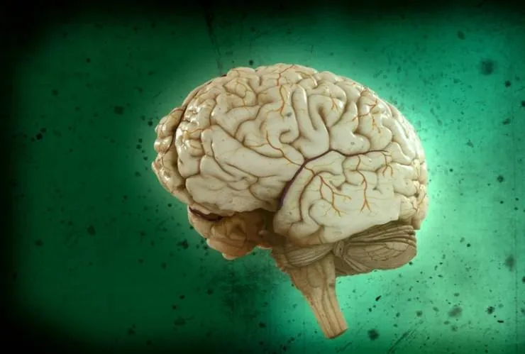 Игры разума (2011) через торрент скачать Игры разума (2011) сериал через торрент скачать