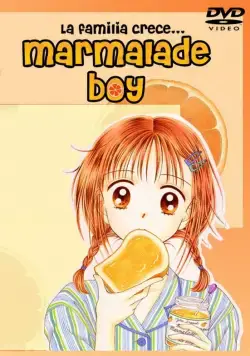 Мальчик-мармелад / Mamaredo boi (1994) cериаланиме скачать через торрент в хорошем качестве