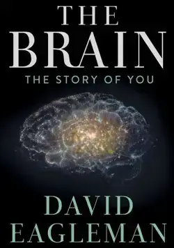 Мозг с Дэвидом Иглменом / The Brain with Dr. David Eagleman (2015) cериал скачать через торрент в хорошем качестве
