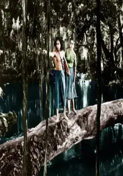 Книга джунглей (1942) через торрент скачать Книга джунглей (1942) фильм через торрент скачать