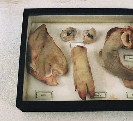 Безумие (2005) в хорошем качестве через торрент Безумие (2005) фильм в хорошем качестве через торрент