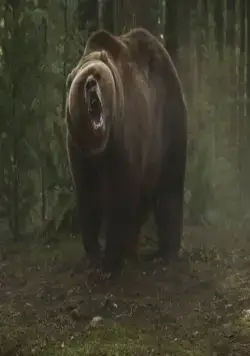 Гризли (2015) через торрент бесплатно Гризли (2015) фильм через торрент бесплатно