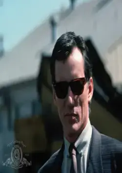 Бестселлер (1987) через торрент бесплатно Бестселлер (1987) фильм через торрент бесплатно