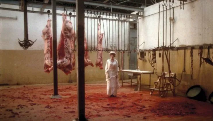 Очарование (1979) в хорошем качестве через торрент Очарование (1979) фильм в хорошем качестве через торрент