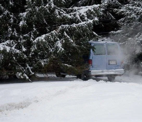 Ясное озеро (2009) через торрент бесплатно Ясное озеро (2009) фильм через торрент бесплатно