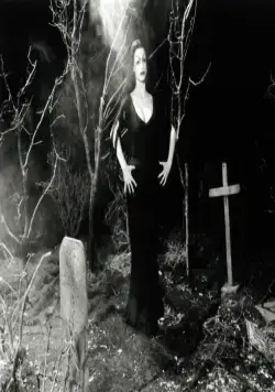 Эд Вуд (1994) через торрент скачать Эд Вуд (1994) фильм через торрент скачать