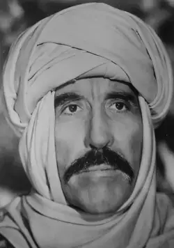 Арабские приключения (1979) в хорошем качестве через торрент Арабские приключения (1979) фильм в хорошем качестве через торрент