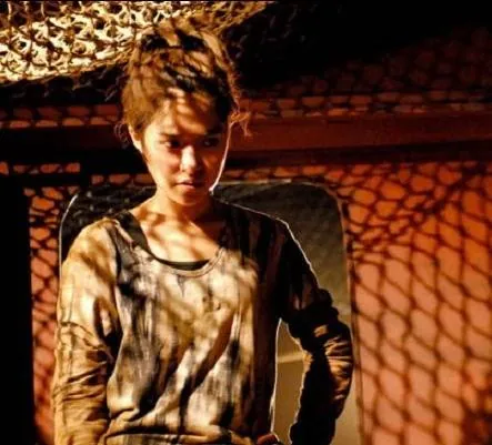 Феникс в ярости (2009) через торрент бесплатно Феникс в ярости (2009) фильм через торрент бесплатно