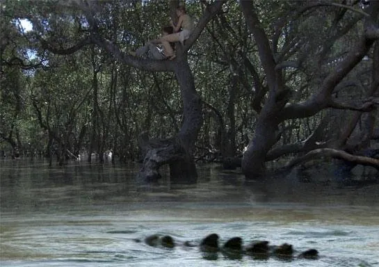 Хищные воды (2007) в хорошем качестве через торрент Хищные воды (2007) фильм в хорошем качестве через торрент