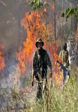 Операция «Возмездие» (2014) в хорошем качестве через торрент Операция «Возмездие» (2014) фильм в хорошем качестве через торрент