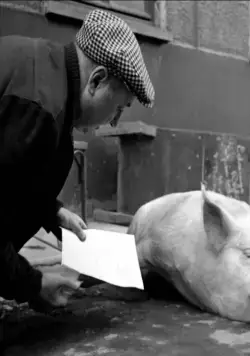 Через Париж (1956) через торрент бесплатно Через Париж (1956) фильм через торрент бесплатно