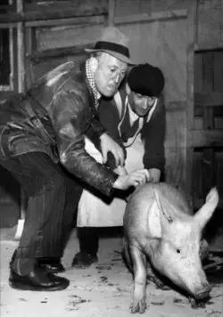 Через Париж (1956) в хорошем качестве через торрент Через Париж (1956) фильм в хорошем качестве через торрент