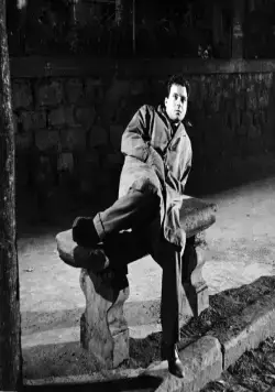 Маменькины сынки (1953) в хорошем качестве через торрент Маменькины сынки (1953) фильм в хорошем качестве через торрент