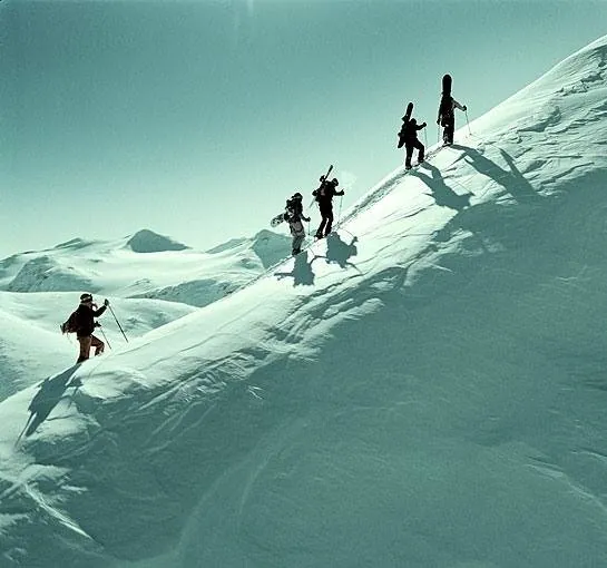 Остаться в живых (2006) через торрент бесплатно Остаться в живых (2006) фильм через торрент бесплатно