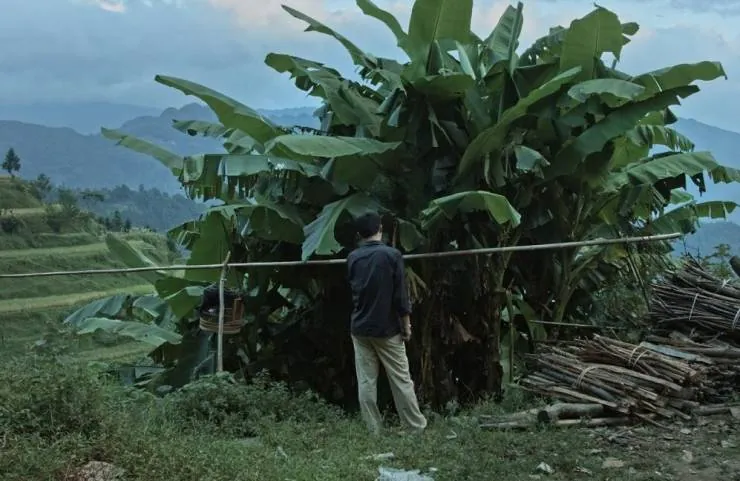 Кайлийская меланхолия (2015) через торрент скачать Кайлийская меланхолия (2015) фильм через торрент скачать