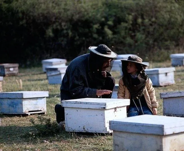 Пчеловод (1986) через торрент скачать Пчеловод (1986) фильм через торрент скачать