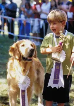 Король воздуха: Возвращение (2003) через торрент скачать Король воздуха: Возвращение (2003) фильм через торрент скачать