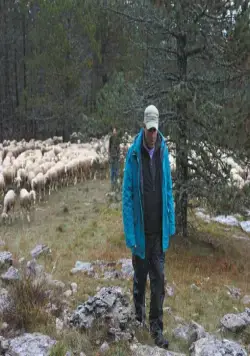 Стоять ровно (2016) через торрент бесплатно Стоять ровно (2016) фильм через торрент бесплатно