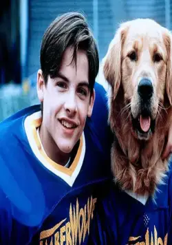 Король воздуха: Золотая лига (1998) через торрент бесплатно Король воздуха: Золотая лига (1998) фильм через торрент бесплатно