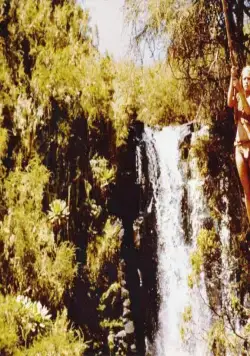 Шина - королева джунглей (1984) в хорошем качестве через торрент Шина - королева джунглей (1984) фильм в хорошем качестве через торрент