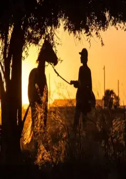 Положитесь на Пита (2017) через торрент скачать Положитесь на Пита (2017) фильм через торрент скачать