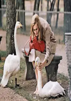 Брюстер МакКлауд (1970) через торрент бесплатно Брюстер МакКлауд (1970) фильм через торрент бесплатно