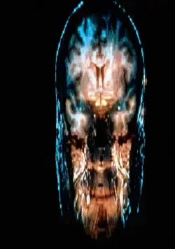 Призрак в машине (1993) через торрент скачать Призрак в машине (1993) фильм через торрент скачать