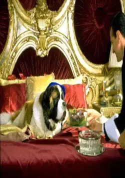 Бетховен 4 (2001) через торрент бесплатно Бетховен 4 (2001) фильм через торрент бесплатно