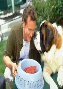 Бетховен 4 (2001) в хорошем качестве через торрент Бетховен 4 (2001) фильм в хорошем качестве через торрент